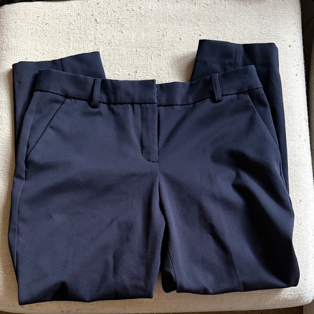 Express Navy Blue Dress Pants